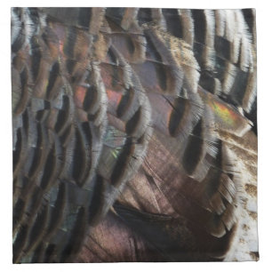 Wild Turkey Feathers I Abstract Nature Design Napkin