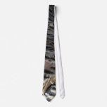 Wild Turkey Feathers I Abstract Nature Design Neck Tie