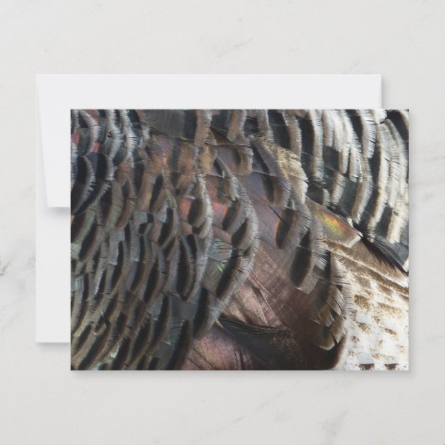 Wild Turkey Feathers I Abstract Nature Design Note Card (Front)