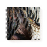 Wild Turkey Feathers I Abstract Nature Design Notebook