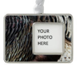 Wild Turkey Feathers I Abstract Nature Design Ornament
