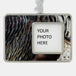 Wild Turkey Feathers I Abstract Nature Design Ornament