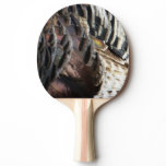 Wild Turkey Feathers I Abstract Nature Design Ping Pong Paddle