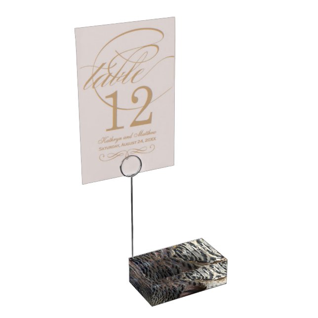 Wild Turkey Feathers I Abstract Nature Design Place Card Holder (Corner)