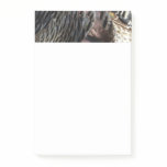 Wild Turkey Feathers I Abstract Nature Design Post-it Notes
