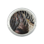 Wild Turkey Feathers I Abstract Nature Design Ring