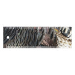 Wild Turkey Feathers I Abstract Nature Design Ruler