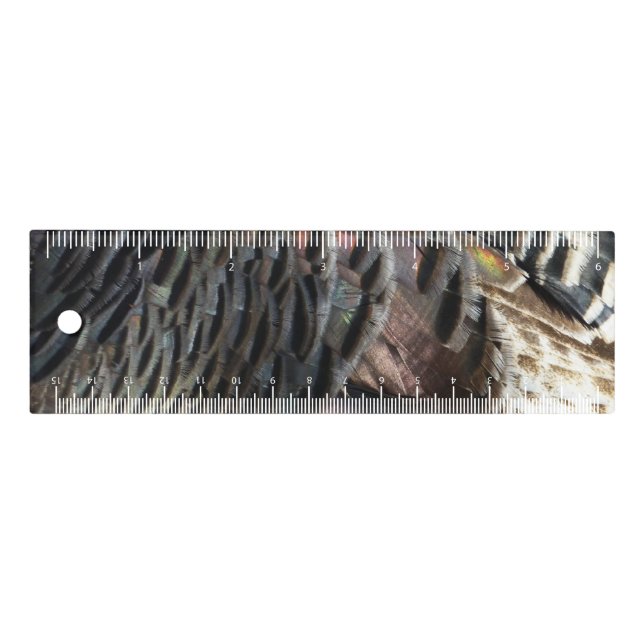 Wild Turkey Feathers I Abstract Nature Design Ruler (Front)