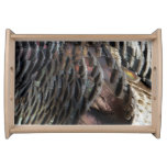 Wild Turkey Feathers I Abstract Nature Design Serving Tray
