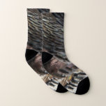 Wild Turkey Feathers I Abstract Nature Design Socks