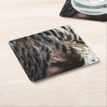 Wild Turkey Feathers I Abstract Nature Design Square Paper Coaster
