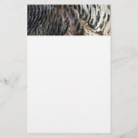 Wild Turkey Feathers I Abstract Nature Design Stationery