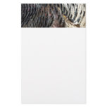 Wild Turkey Feathers I Abstract Nature Design Stationery