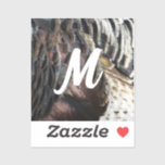 Wild Turkey Feathers I Abstract Nature Design Sticker