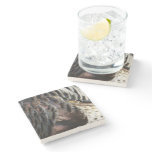 Wild Turkey Feathers I Abstract Nature Design Stone Coaster