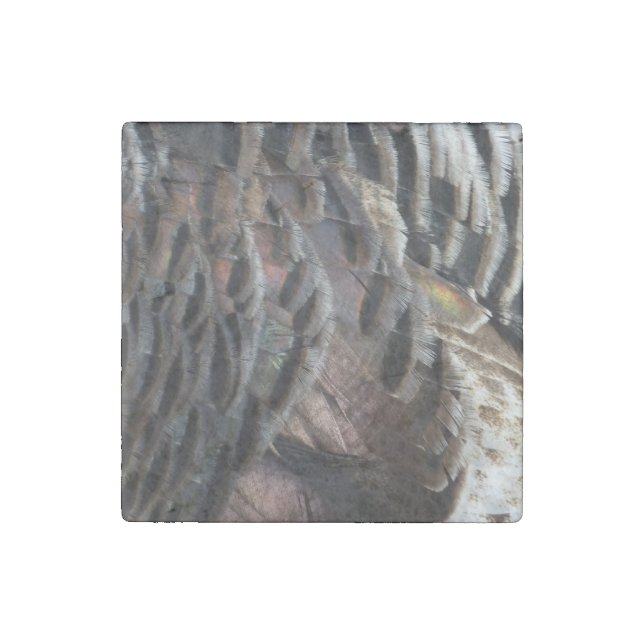 Wild Turkey Feathers I Abstract Nature Design Stone Magnet (Front)