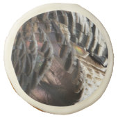 Wild Turkey Feathers I Abstract Nature Design Sugar Cookie (Front)