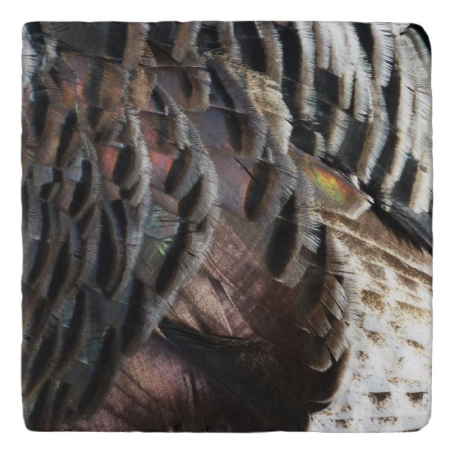 Wild Turkey Feathers I Abstract Nature Design Trivet (Front)