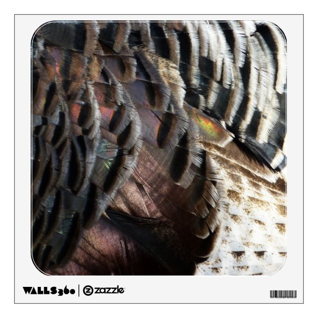 Wild Turkey Feathers I Abstract Nature Design Wall Decal (Front)