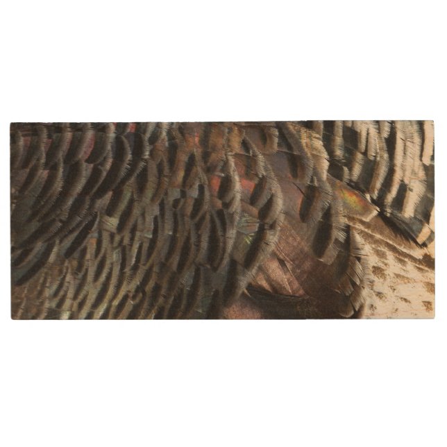 Wild Turkey Feathers I Abstract Nature Design Wood Flash Drive (Front)