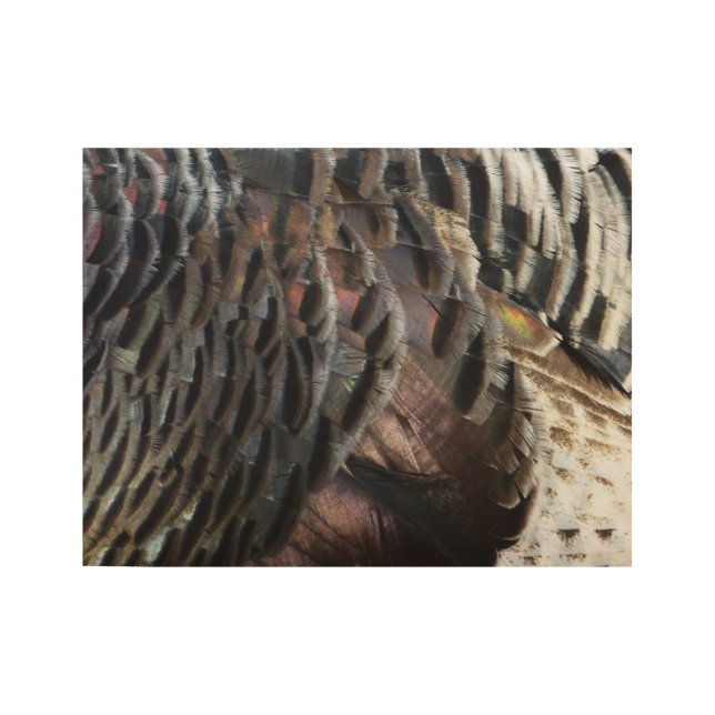 Wild Turkey Feathers I Abstract Nature Design Wood Poster (Front)