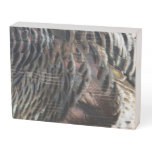 Wild Turkey Feathers I Abstract Nature Design Wooden Box Sign