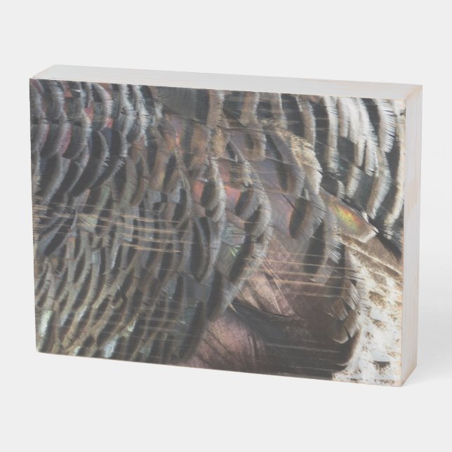 Wild Turkey Feathers I Abstract Nature Design Wooden Box Sign (Angled Horizontal)