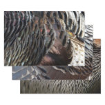 Wild Turkey Feathers I Abstract Nature Design Wrapping Paper Sheets