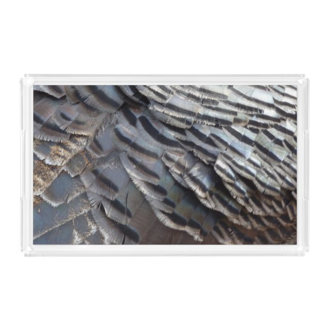 Wild Turkey Feathers II Abstract Nature Design Acrylic Tray (Front)