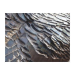 Wild Turkey Feathers II Abstract Nature Design Canvas Print