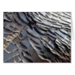 Wild Turkey Feathers II Abstract Nature Design Card