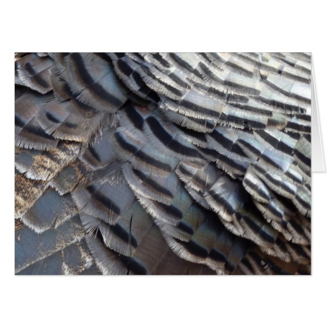 Wild Turkey Feathers II Abstract Nature Design Card (Front Horizontal)