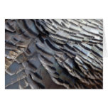 Wild Turkey Feathers II Abstract Nature Design Cards