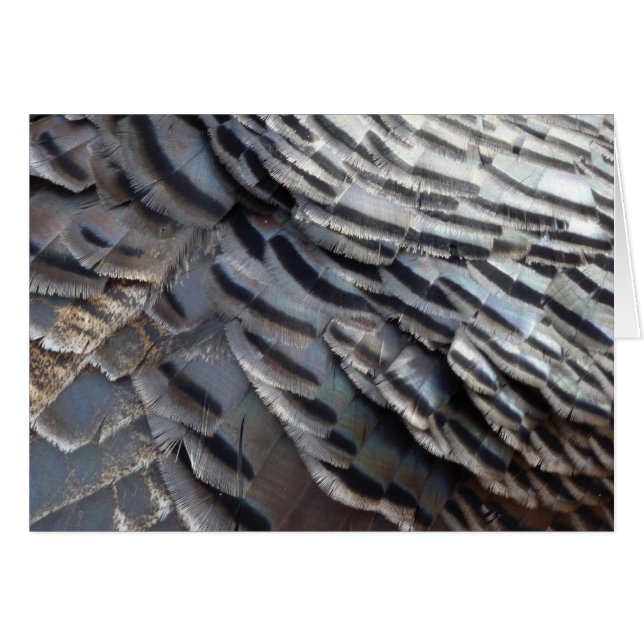 Wild Turkey Feathers II Abstract Nature Design Cards (Front Horizontal)