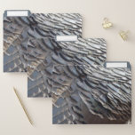 Wild Turkey Feathers II Abstract Nature Design File Folder