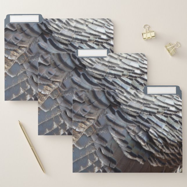 Wild Turkey Feathers II Abstract Nature Design File Folder (Set)
