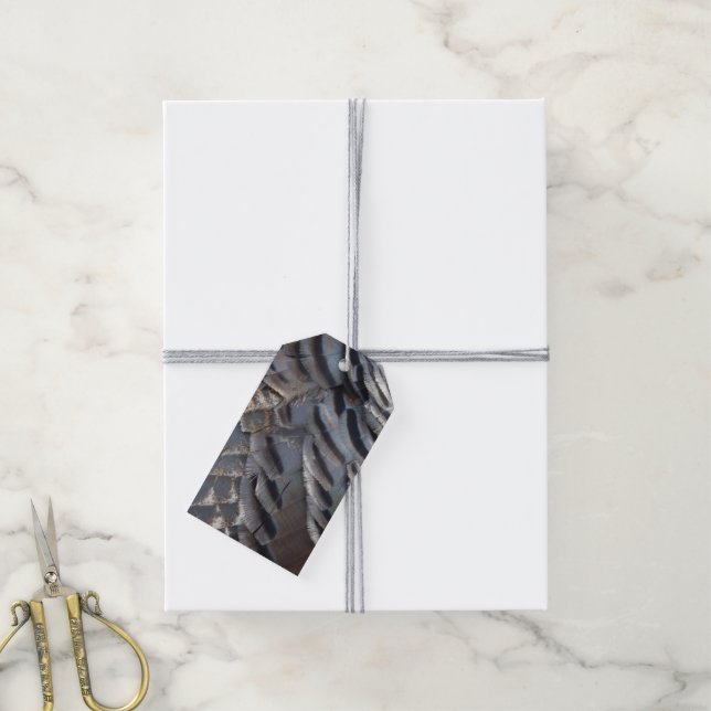 Wild Turkey Feathers II Abstract Nature Design Gift Tags (With Twine)