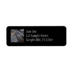 Wild Turkey Feathers II Abstract Nature Design Label