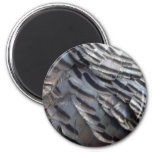 Wild Turkey Feathers II Abstract Nature Design Magnet