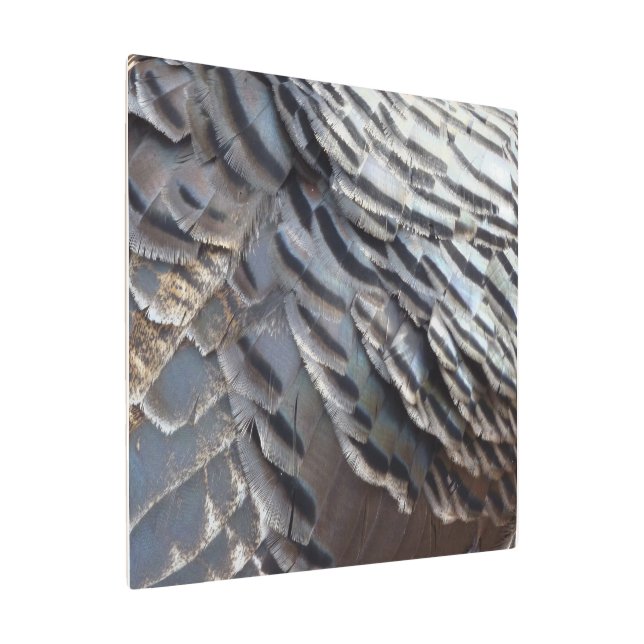 Wild Turkey Feathers II Abstract Nature Design Metal Print (Angled)