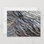 Wild Turkey Feathers II Abstract Nature Design Note Card