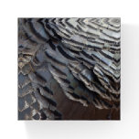 Wild Turkey Feathers II Abstract Nature Design Paperweight