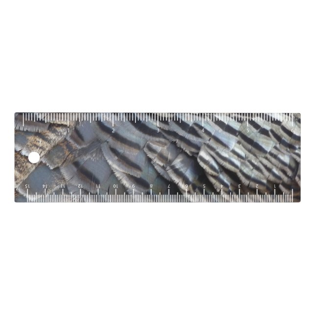 Wild Turkey Feathers II Abstract Nature Design Ruler (Front)