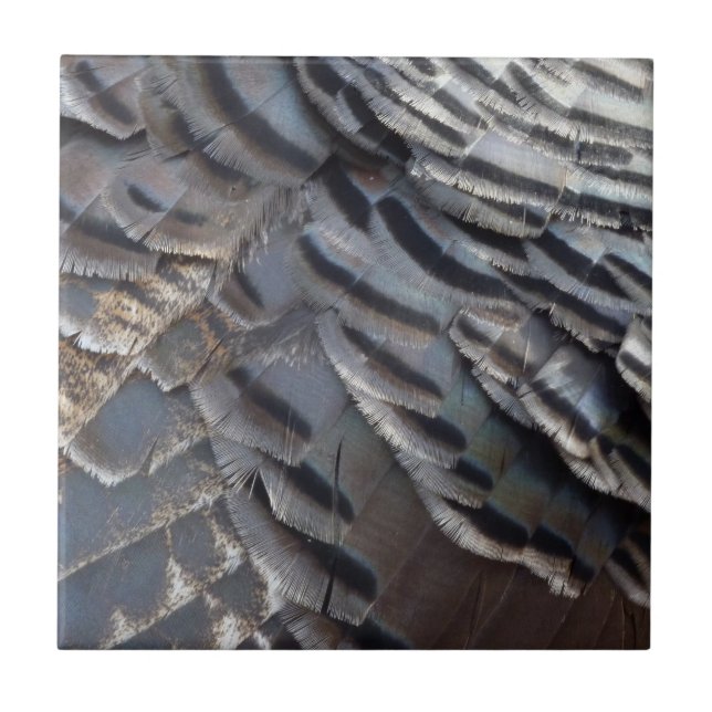 Wild Turkey Feathers II Abstract Nature Design Tile (Front)