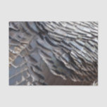 Wild Turkey Feathers II Abstract Nature Design Tissue Paper