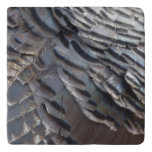 Wild Turkey Feathers II Abstract Nature Design Trivet