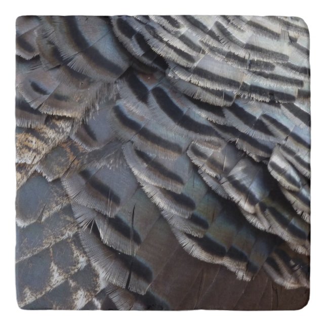 Wild Turkey Feathers II Abstract Nature Design Trivet (Front)