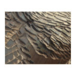 Wild Turkey Feathers II Abstract Nature Design Wood Wall Art