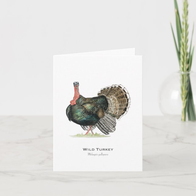 Wild Turkey Folded Note Card (Front)