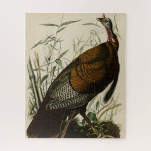 Wild Turkey from Audubon's Birds of America Jigsaw Puzzle